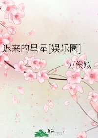 迟来的星星[娱乐圈]